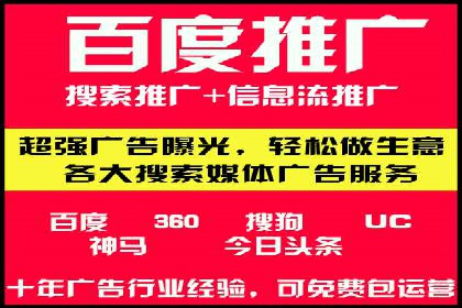 网络推广中的竞价广告：成功案例解析
